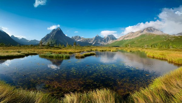 Quels sont les avantages de faire du couchsurfing lors de vos voyages ?